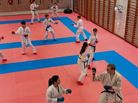 Træning i Viborg Karate Skole – billede 3