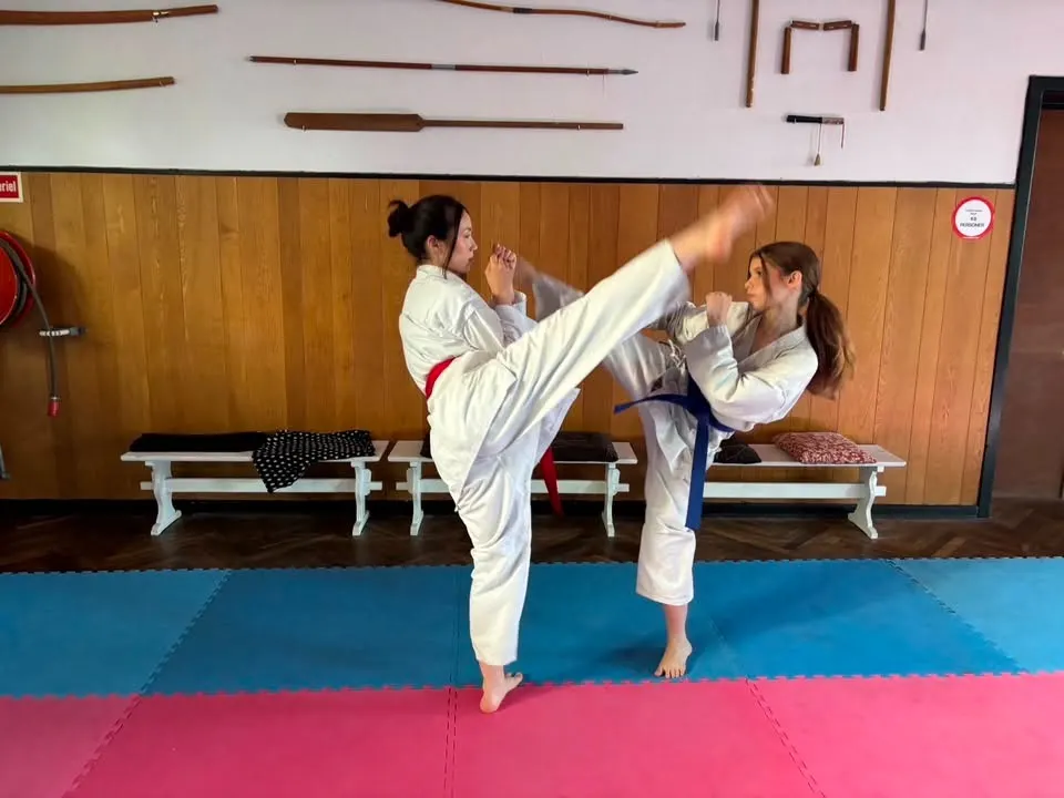 Karate spark i dojoen
