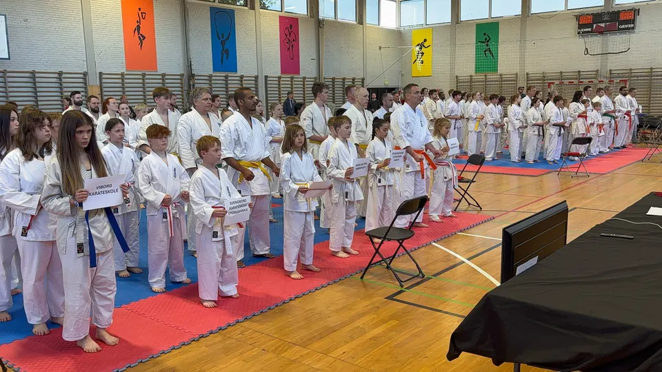 Roskilde Cup – arrangeret af Roskilde Karate Klub i regi af Dansk Karate Union – er en årligt tilbagevendende turnering i kontaktkarate og…