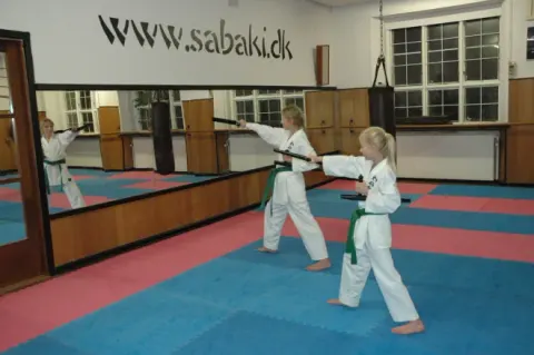 Kobudo: tonfa