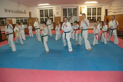 Kampseminar – Fre/ lør. d. 24. – 25. januar 2014 i Viborg