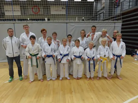 Viborg Karate Skole ved Oyama Cup i Roskilde d. 4. oktober 2014