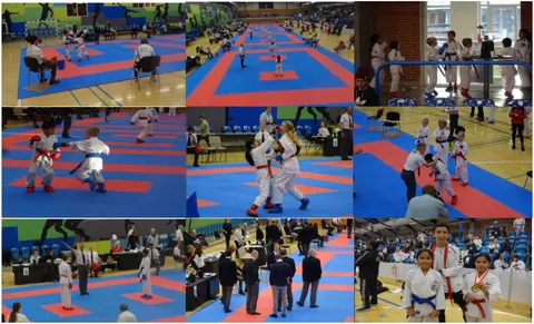 Deltagere – VKS ved Holstebro Suhari Cup d. 26. november 2017 i Holstebro