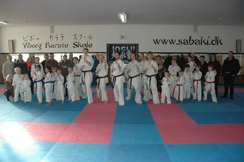 Deltagere ved kampseminar i Viborg d. 20. – 21. januar 2017