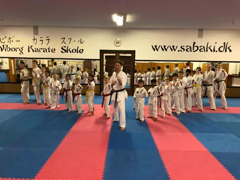 Deltagere – VKS ved kampseminar i Viborg d. 12. – 13. januar 2018
