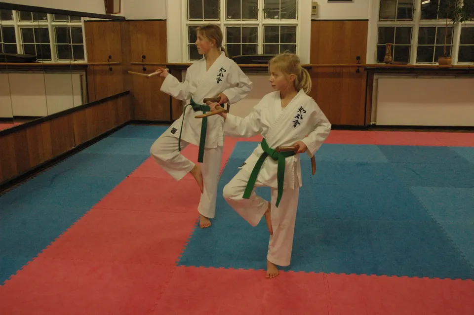 Kobudo: kama