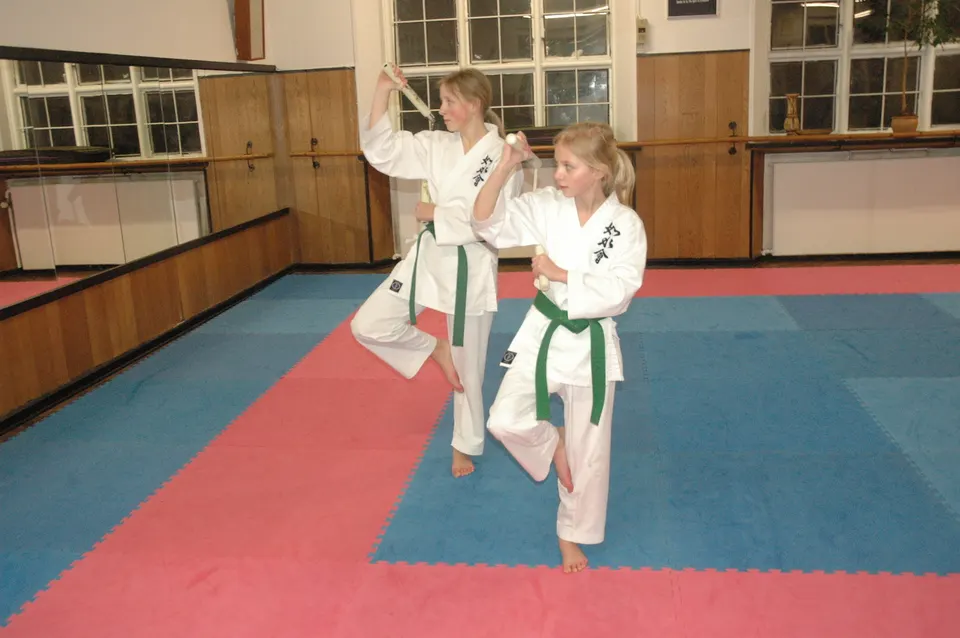 Kobudo: nunchaku