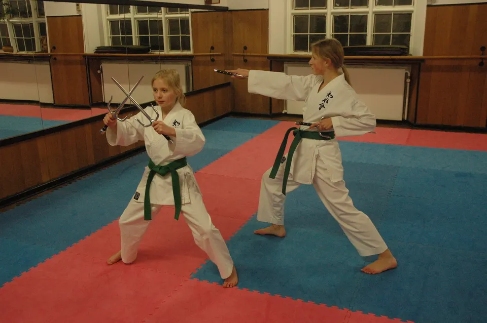Kobudo: sai